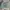 Vintage Streetwear Short Pria Multicolor Green