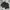Nike Streetwear Sportswear Short Pria black photo 2