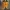 Adidas Sportswear Sneakers Pria yellow photo 3