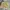 Vintage Streetwear Short Pria tan khaki photo 1