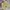 Vintage Streetwear Short Pria tan khaki photo 2