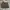 Carhartt Vintage Streetwear Short Pria brown photo 4