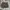 Carhartt Vintage Streetwear Short Pria brown photo 1