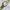 Vintage Streetwear Pria gold photo 1