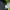 JanSport Y2K Hoody Pria green photo 4