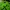 JanSport Y2K Hoody Pria Green