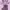 ZARA Vintage Puffer jacket Wanita purple photo 1