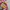 Havaianas Casual Sandals & slide Kids pink photo 3