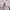 Havaianas Casual Sandals & slide Kids pink photo 4