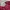 Coquette Minimalist Wanita Burgundy