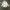 Beams Vintage Casual Casual shirt Pria white photo 1