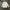 Beams Vintage Casual Casual Shirt Pria White