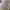Japanese brand Vintage Casual Casual shirt Pria gray photo 1
