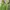 H&M Casual Summer Dress Wanita Green