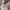 Luxury Casual Sweatshirt Pria tan photo 4