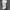 Starter Casual Hoody Pria gray photo 5