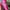 Y2K Lolita Other Wanita white pink photo 2
