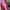 Y2K Lolita Other Wanita White Pink