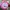 Y2K Lolita Other Wanita white pink photo 3