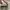Nike Skater Casual Sneakers Pria white black photo 5