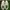 Nike Skater Casual Sneakers Pria white black photo 4