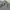 Luxury Casual Sweatshirt Pria gray photo 4
