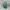 Converse Streetwear Casual Backpack Wanita green photo 2