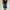 Streetwear Y2K Jeans Pria Navy