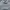 Polo Ralph Lauren Streetwear Biker T-shirt Pria gray photo 2