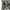 Fendi Luxury Casual Polo shirt Pria gray photo 4