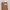 Luxury Wristlet Wanita brown photo 2