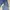 Minimalist Casual High waisted jeans Wanita multicolor blue photo 3