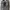 Nike Skater Indie Sneakers Pria gray photo 2