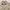 Beanpole Vintage Casual Harrington jacket Pria tan photo 2