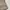 Beanpole Vintage Casual Harrington jacket Pria tan photo 8
