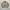 Beanpole Vintage Casual Harrington jacket Pria tan photo 4