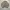 Beanpole Vintage Casual Harrington jacket Pria tan photo 6