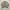 Beanpole Vintage Casual Harrington jacket Pria tan photo 5