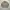 Beanpole Vintage Casual Harrington jacket Pria tan photo 1