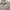Polo Ralph Lauren Vintage Casual Harrington jacket Pria gray photo 3