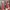 Casual Wanita red photo 1