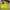 Streetwear Casual Bag Pria black yellow photo 2