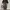 Y2K Jeans Pria black photo 2