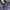 Avirex Streetwear Puffer jacket Pria gray photo 1