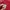 Kenzo Luxury Casual Casual dress Wanita red photo 4