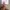 Adidas Y2K Sportswear Tracksuit Pria gold white photo 5