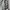 Streetwear Sportswear Tracksuit Pria black gray photo 2