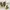 Stradivarius Luxury Minimalist Heels Wanita yellow photo 2