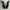 Luxury Minimalist Heels Wanita black photo 4