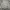 Feltics Casual Sweater Pria gray photo 1